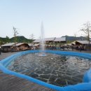 푸르고드림 이미지