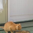 공작산계곡 오토캠핑장 이미지