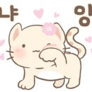 별그루밍 이미지