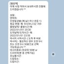 세부 0.5박 새벽 도착 마사지 엘스파 자세한 솔직 후기