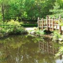 월포바닷가 이미지