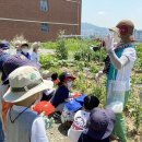 아이뜰 유치원 텃밭 자연체험학습 이미지