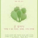 곰발바닥 이미지