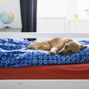 위즈동물메디컬센터 이미지