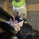 럭키PC바다 | 괌 3박 4일 5인 가족여행 코스 1일차_괌데이투어닷컴 별빛네컷 투어/비치인쉬림프 후기