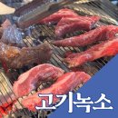 전주 송천동 고기녹소 내돈내산 후기