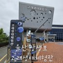 [울산] 장생포 고래생태체험관-아기랑 가볼만한 곳, 살아있는 돌고래, 고래생태설명회 시간표🐬