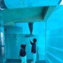 돌고래식당 | 후쿠오카 마린월드 후기 ❘ 돌고래쇼 하나로 끝났다 (식당은 비추천)