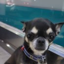 서라2차 이미지