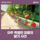 송암1리 이미지