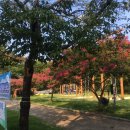 수승대관광지 야영데크 이미지