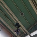 정감농장 이미지