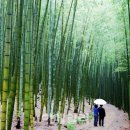 바람소리새소리 이미지