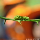 선학어린이집 이미지