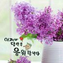 안양6동 행정복지센터 이미지