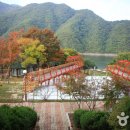 자전거(도로) 관광 코스 이미지