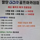 팔탄GDR골프아카데미