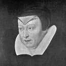 메디시스 이미지