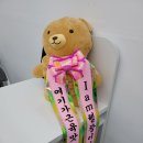 위트짐 이미지