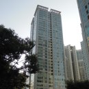 분당-239 이미지