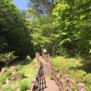 연화2경로당 | 경남 고성 연화산 등산코스 | 도립공원 한 바퀴 원점회귀 ⛰️🦕🌿