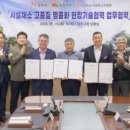공주채소