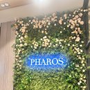 다산2 | 다산 파로스컨벤션 시식 후기, 뷔페 메뉴 종류