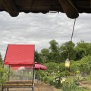 강동로-39 이미지