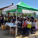 김화자농장 이미지