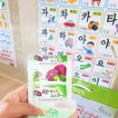 양배추즙 건강챙기는 꿀팁