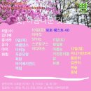 4월 두번째 클럽빵 공연일정 이미지