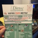 [보라카이] 퓨전 한식당 "디토(DITTO)" 크림볶음짬뽕 , 김치볶음밥 내돈내산 후기