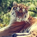 사파동398 이미지