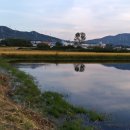 담안1 이미지