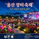 문수체육공원중앙길R | 야간 개장 반전 매력! 2026 울산대공원 장미축제 라인업 및 관람 매뉴얼