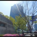 라요나라 이미지