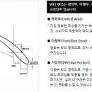 아디다스당진스포츠