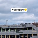 장안화원 | 제주민속오일장, 끝자리 2일 7일마다 열리는 제주오일장 먹거리 볼거리 많아요