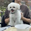카페 엘(CAFE L) 이미지