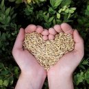 신흥건조기합천군대리점 이미지