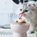별달 이미지