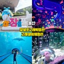 울산광역시 남구 도시관리공단(고래생태체험관) | 울산 아이와 가볼만한곳 가족여행 아이체험 추억여행 [장생포고래박물관/고래생태체험관]