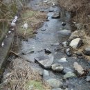 충주댐가든 이미지