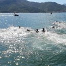 스위밍고 이미지