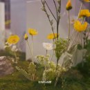침산공원(A) 이미지