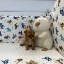 연제구-045 이미지