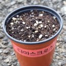 행복나눔eye 이미지