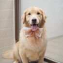 스위프트살롱 이미지