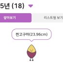 독서를 통한 행복 찾기 이미지