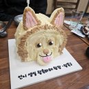 신한일식당 | [가락시장] 작년부터 이어진 방어투어 신한일수산🐟